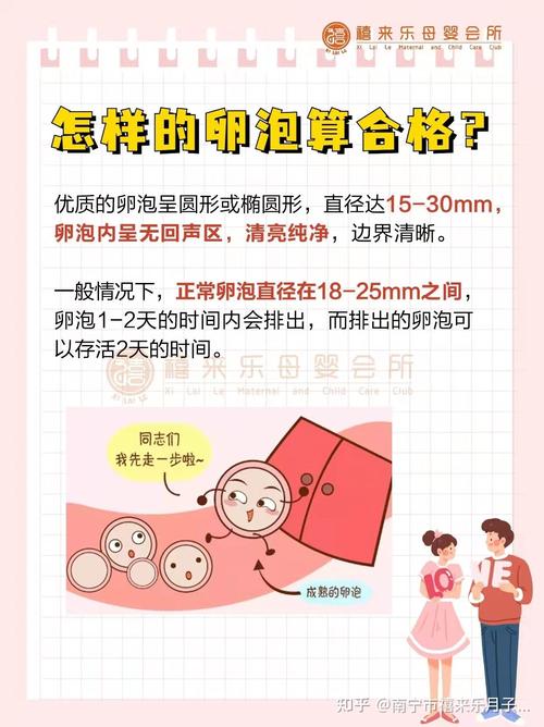 供卵需要做什么检查_供卵需要做哪些检查?