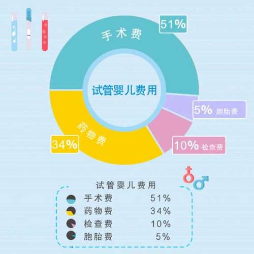 供卵试管代怀_供卵试管代怀：让爱延续的新选择