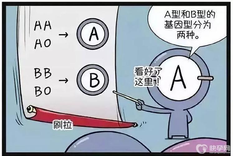供卵血型不一样可以吗【供卵血型不一样可以吗?探讨不同血型对供卵的影响】