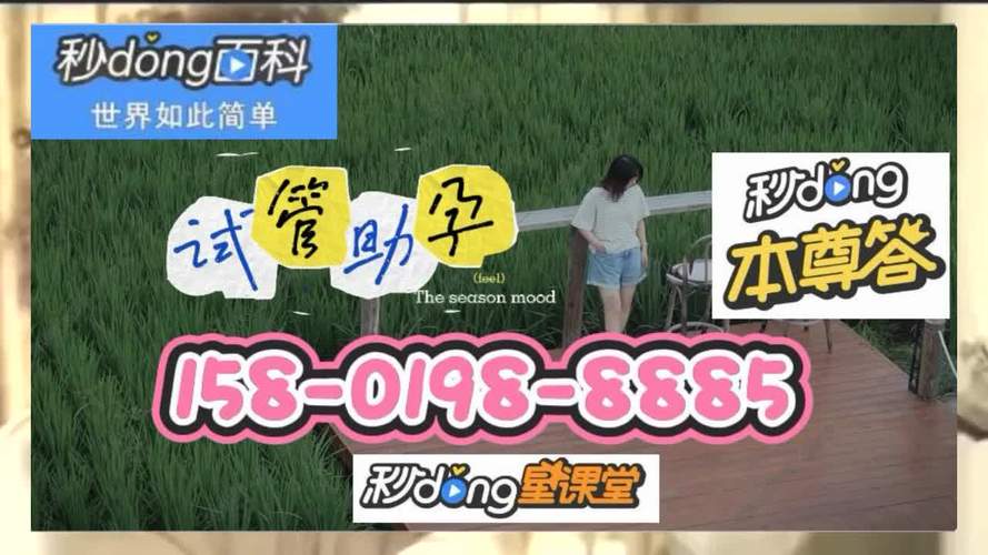 供卵代生男孩-供卵代生:实现梦想的男孩